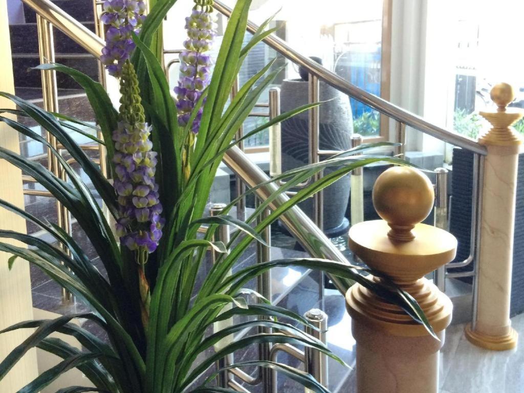 Hotel D' Calia Таракан Екстериор снимка
